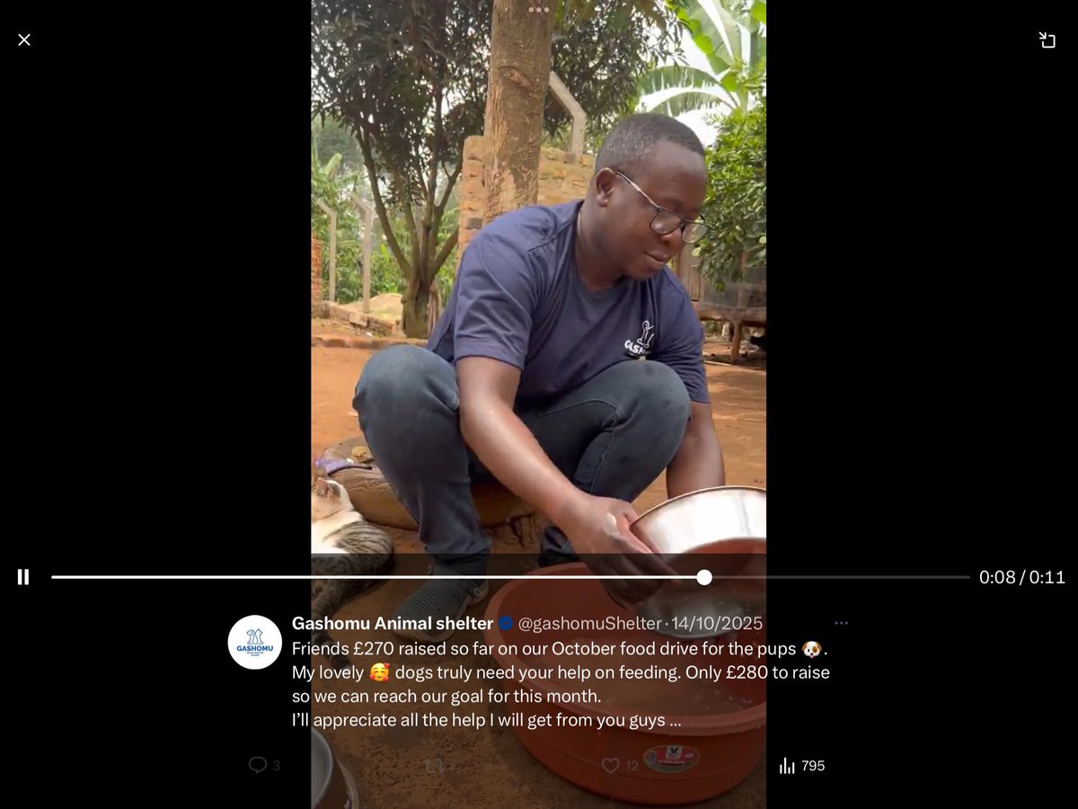 Is it just me?

I can clearly see, it’s the same fence, I can clearly see they are the same concrete posts, I can clearly see that is the same brick wall, I can also clearly see the exact same mound of soil, along with the same bowls, and the same dogs.

That’s the same cat too!
