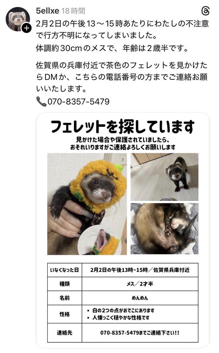 Wakame tweet media