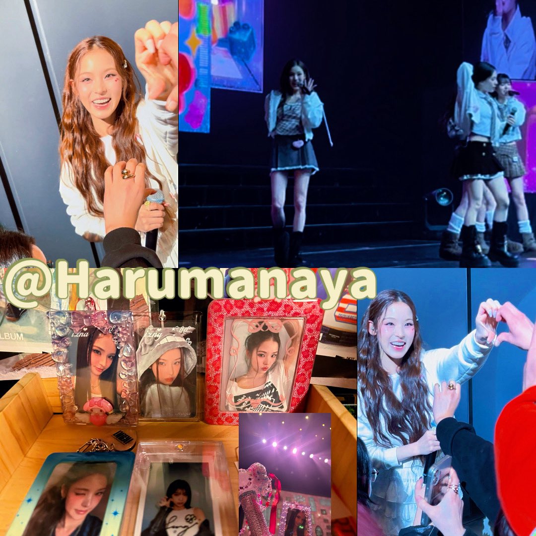 Haruma (はふぇ) tweet media