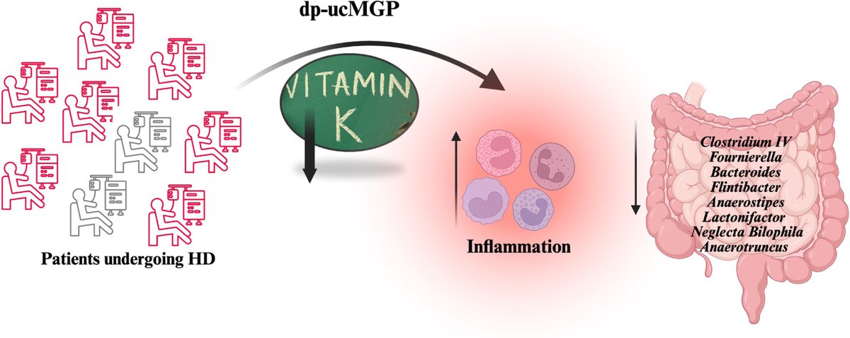 The Journal of Nutritional Biochemistry tweet media