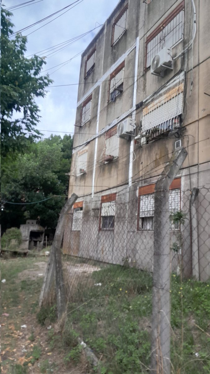 Daniela Delgado tweet media