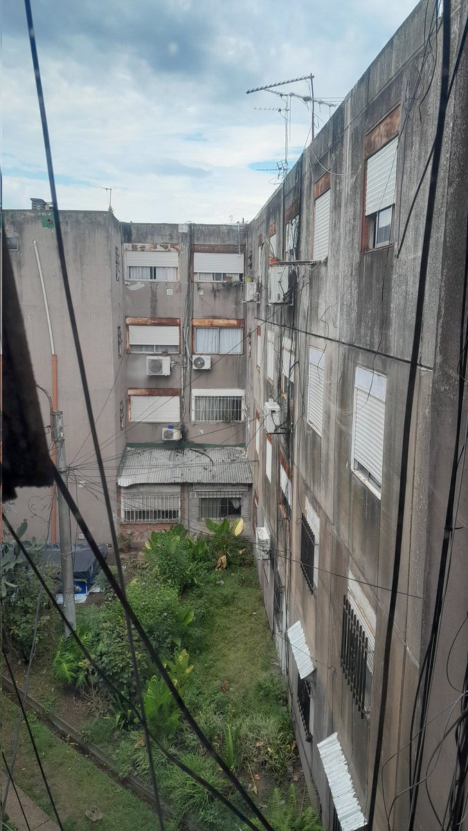 Daniela Delgado tweet media