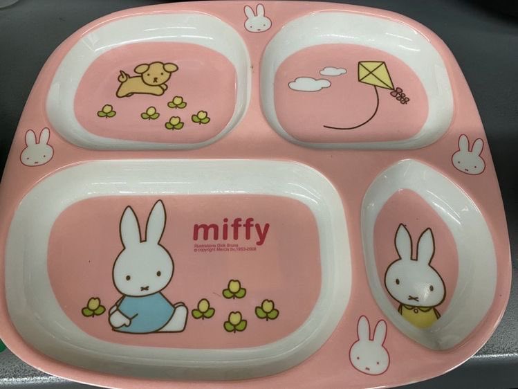 Iittleloveybug's tweet image. little who doesnt like their food to touch

x

carer who picks out the cutest divided plates for their little one ♡