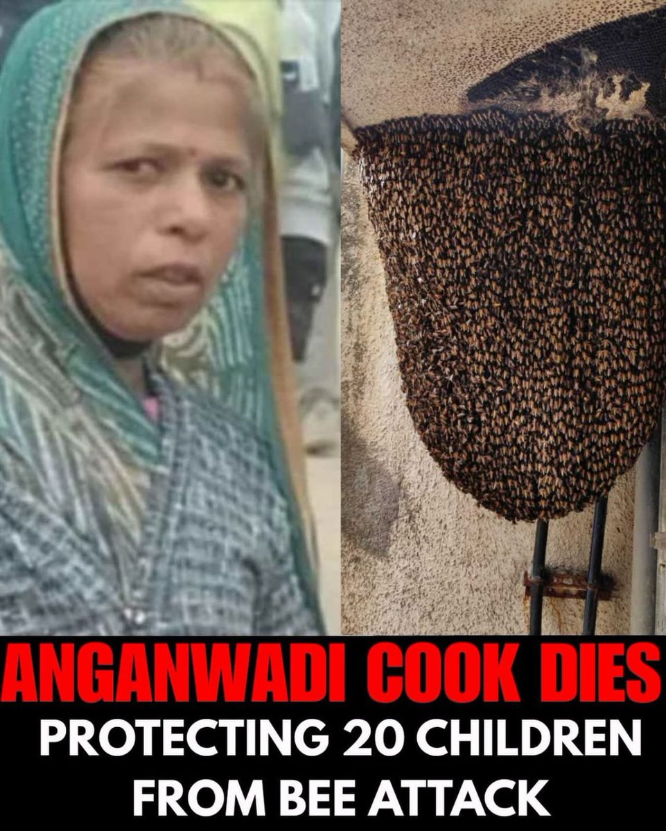 इस वीर महिला के सम्मान में मेरा सर  झुका है. आप पढ़िए इन्होंने क्या किया, आपका दिल भी इज़्ज़त से भर आयेगा.

नीमच (मध्य प्रदेश) की आंगनवाड़ी रसोइया कंचन बाई मेघवाल (40) ने मधुमक्खियों के अचानक हमले के दौरान करीब 20 बच्चों की जान बचाई। चटाइयों और तिरपाल से बच्चों को ढककर सुरक्षित