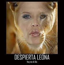 Todo ya pasó hace 20 años en América TV.