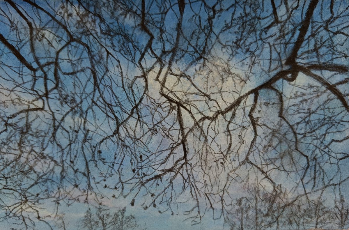 昨夜のダイニングテーブルでのクイックスケッチ
ヴィクトリア・タワー・ガーデンズで見上げた空