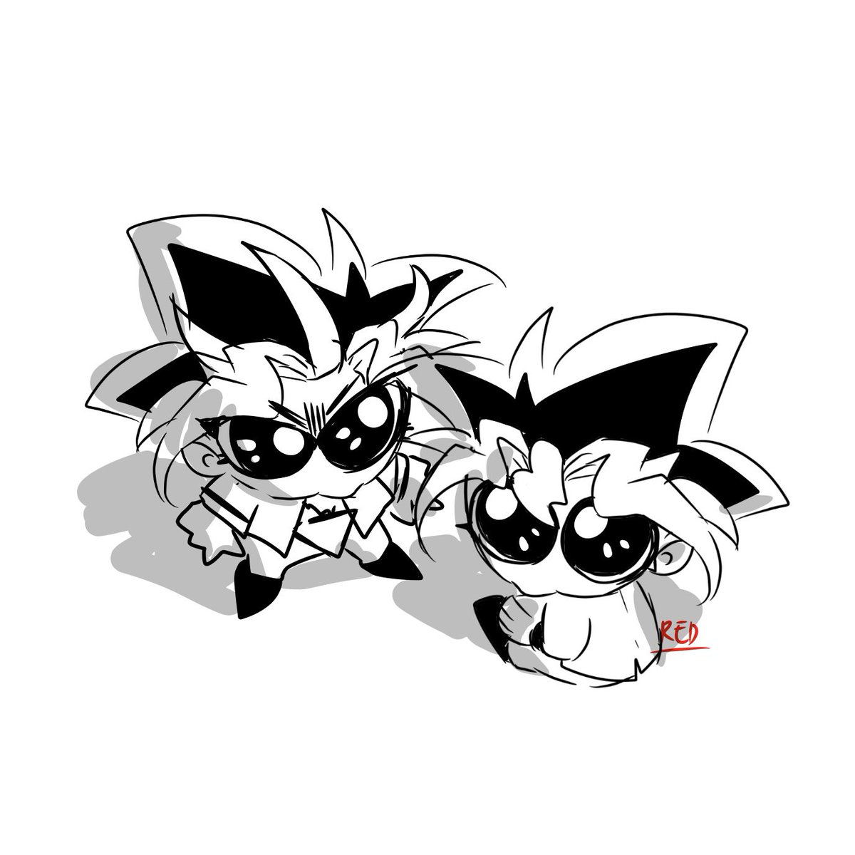 bugs when you lift up a rock