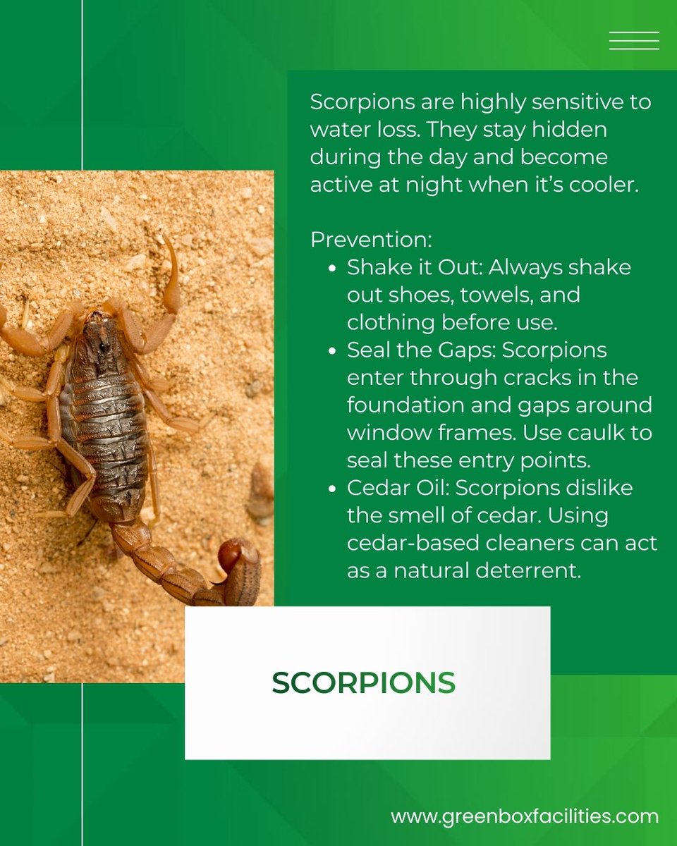 Greenbox_ltd's tweet photo. Our environment might not always be as safe as we intend it to be but he power to keep pests at bay is in our hands.
Contact @greenbox_facilities today. 

☎️ 08149843545

#pestcontrolservice #pestmanagement #fumigationservices #abujafumigationservices https://t.co/E6J6M3YykV