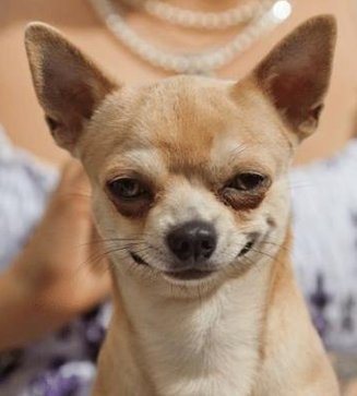 sssetfsctr's tweet image. どっちの魚でしょう？ 👨‍💻