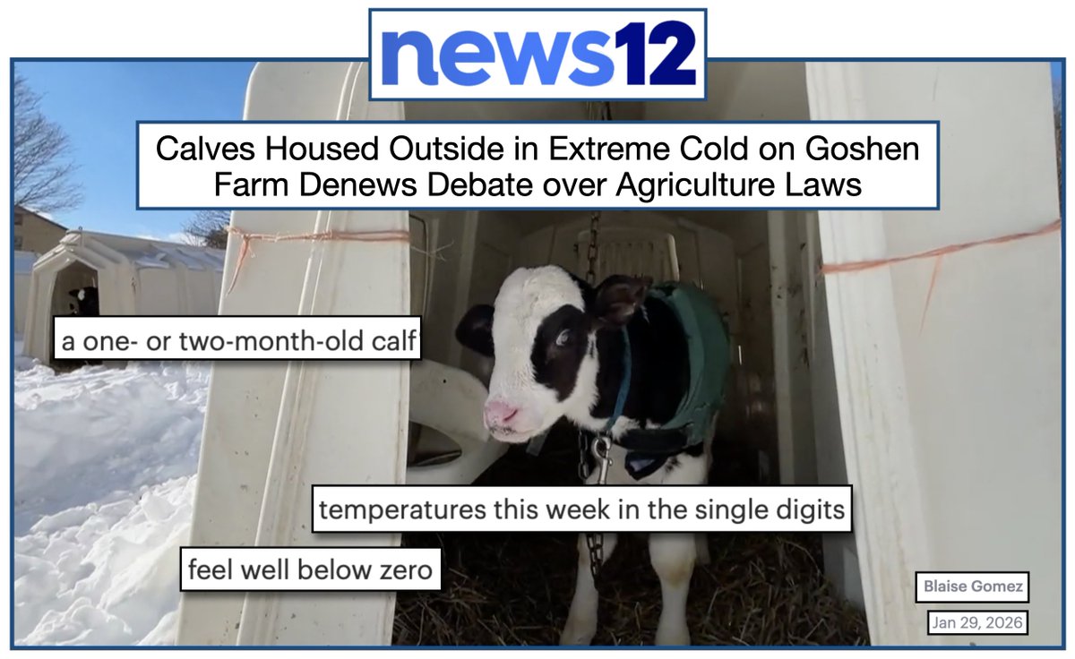 Millions of animals raised for food suffer and die in below freezing temps. In a story on <a href="/News12/">News 12 New York</a> in NY, reporter <a href="/BlaiseGomez12/">Blaise Gomez</a> shows footage of dozens of baby calves who are chained in outdoor hutches in single digit temps. No heat. No water (b/c it freezes). No playing. No