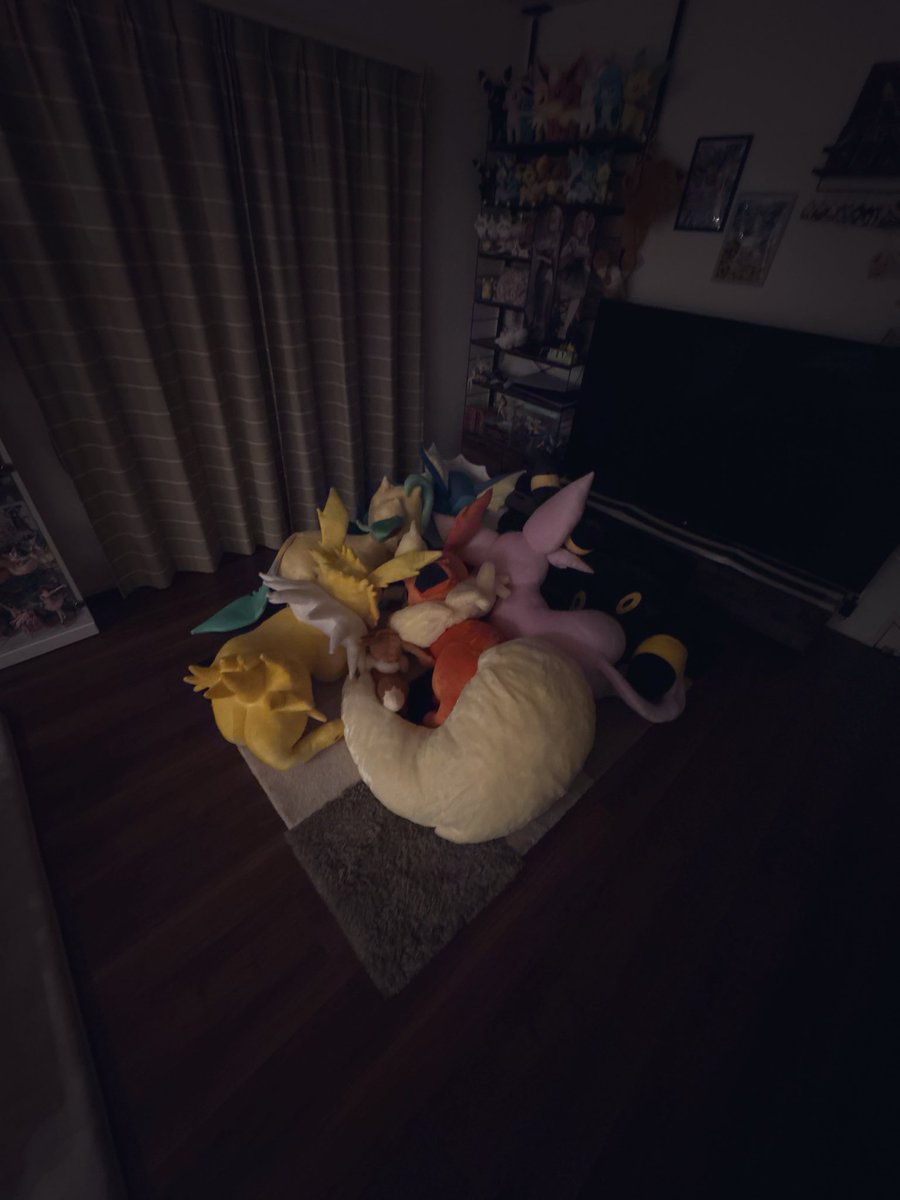 夜はみんな集まって寝るみたい😴💤

おやすみ🌙