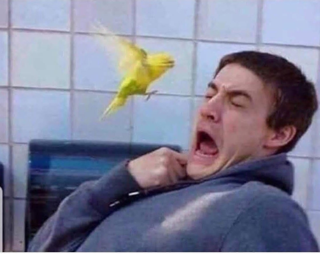 isnt_she_selena's tweet image. When someone calls instead of messaging