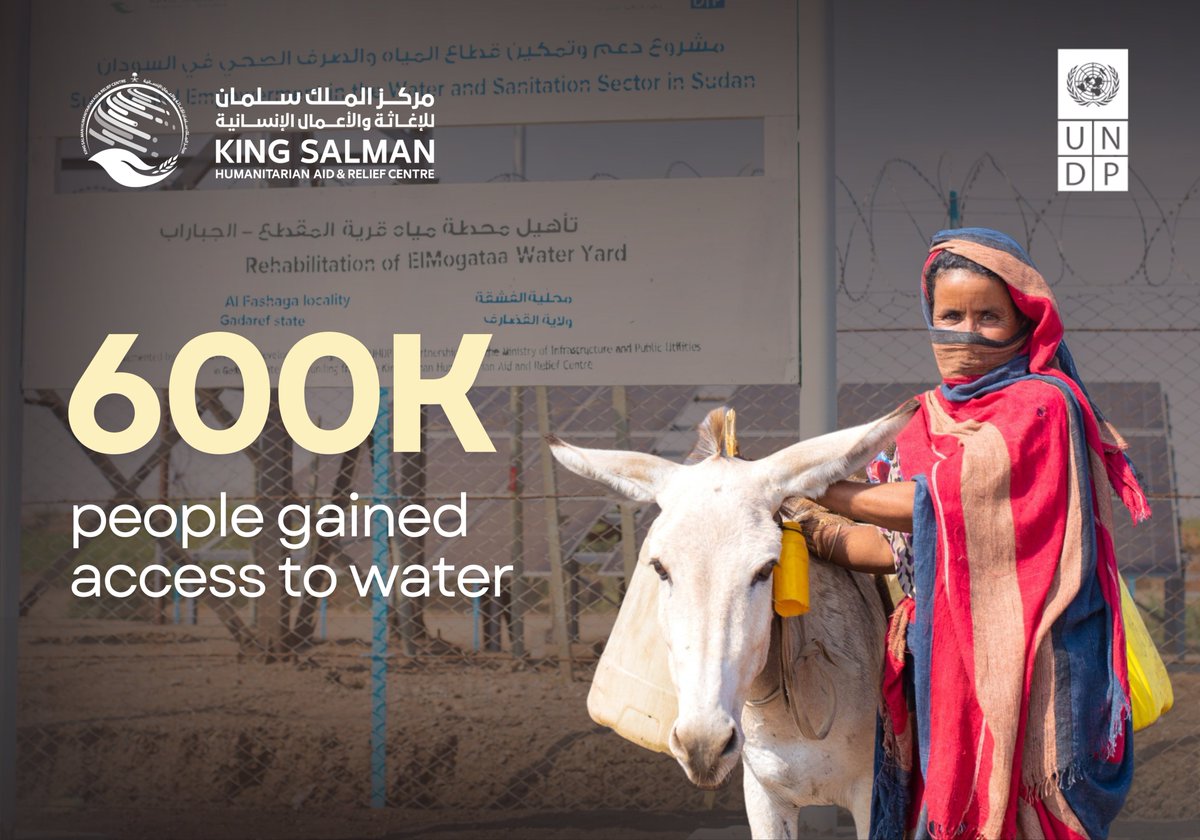 Shoko Noda tweet media