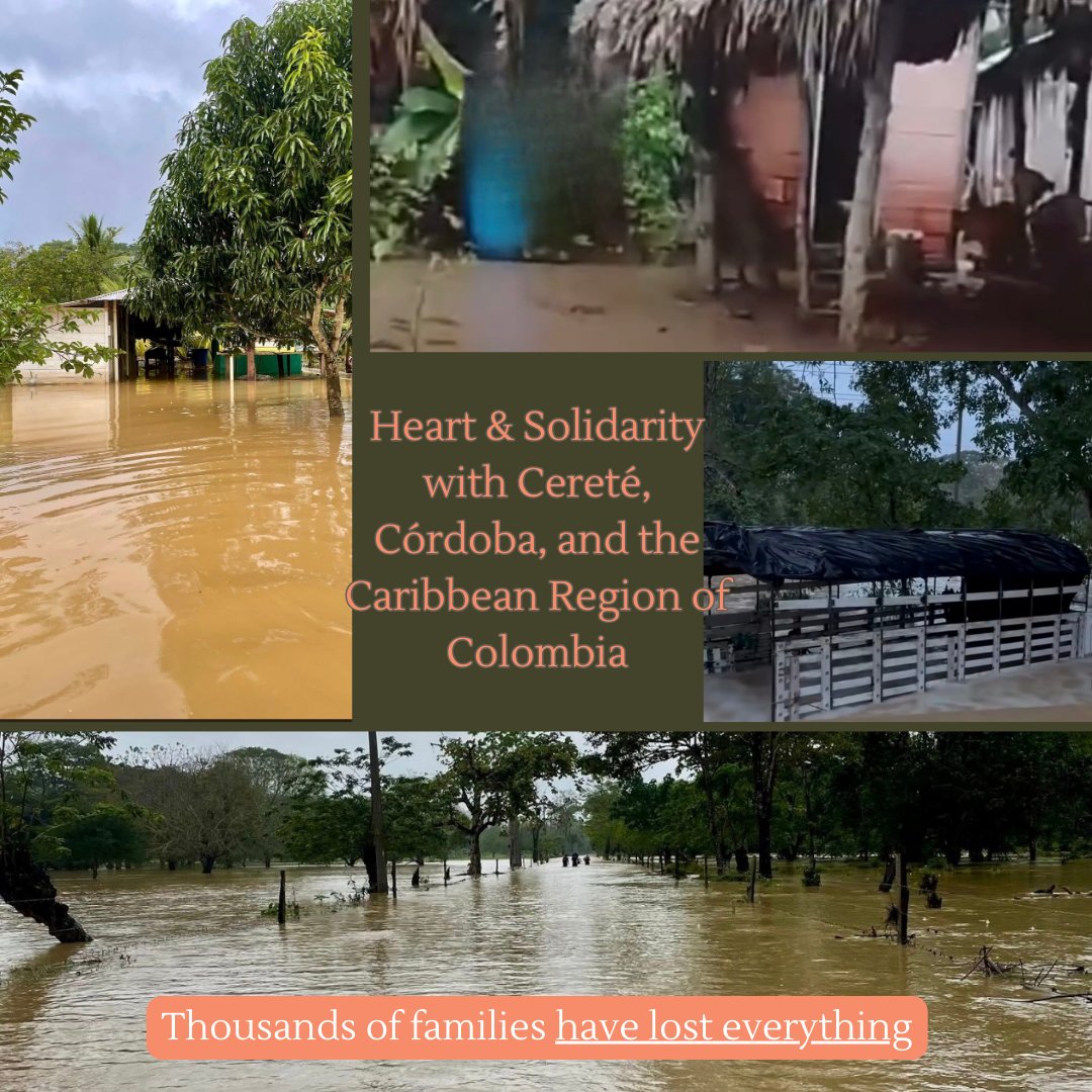 HumanTraffickingFront tweet media