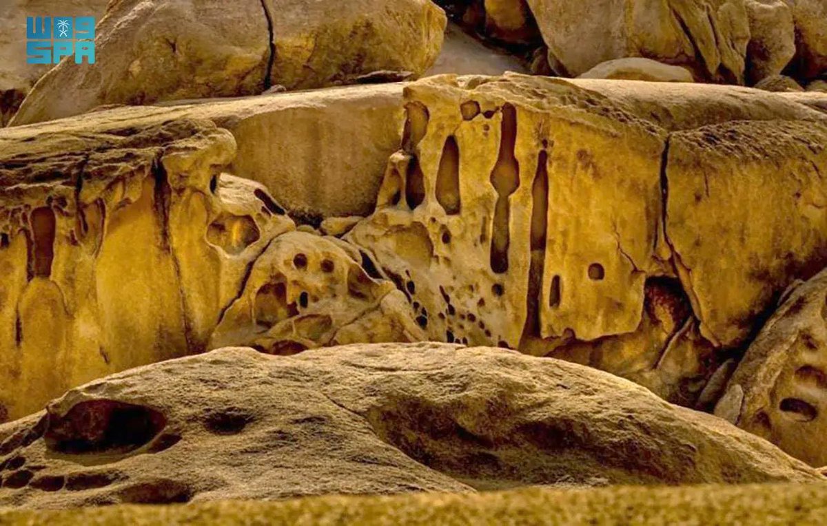 محافظة الليث tweet media