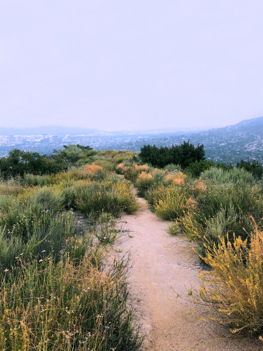 Leah Berman tweet media