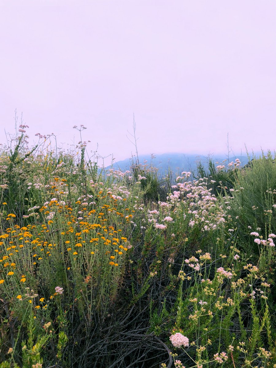 Leah Berman tweet media