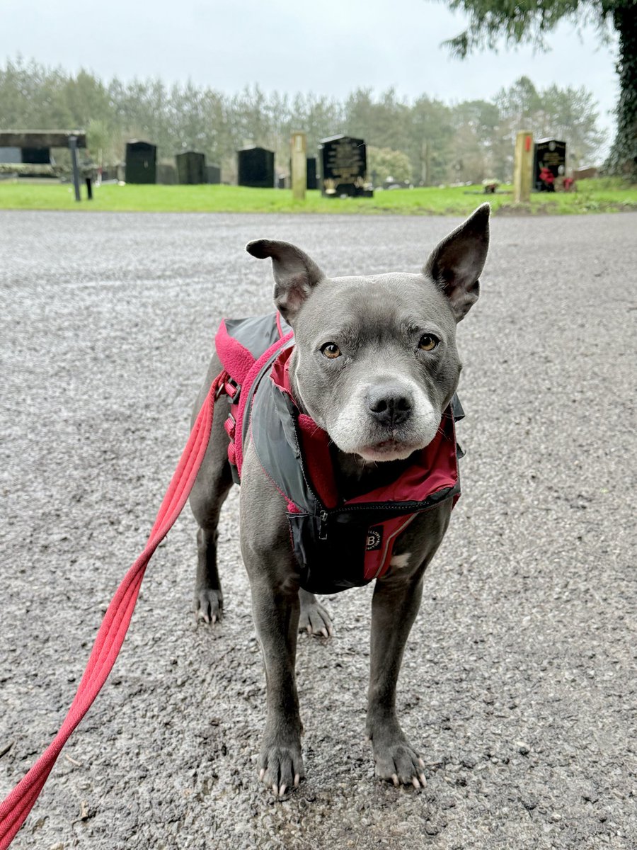 Isa Mary tweet media