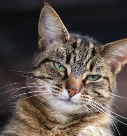 bmc1957's tweet image. 寒い自転車 🦅