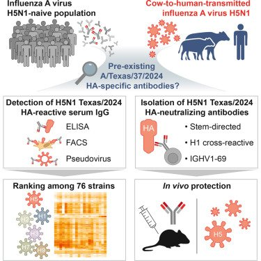 Sayed Abdel-whab (ORCID: 0000-0003-2103-0922) tweet media