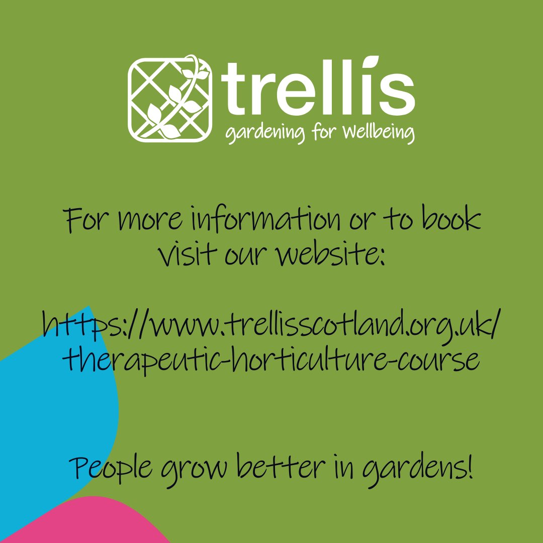 Trellis tweet media