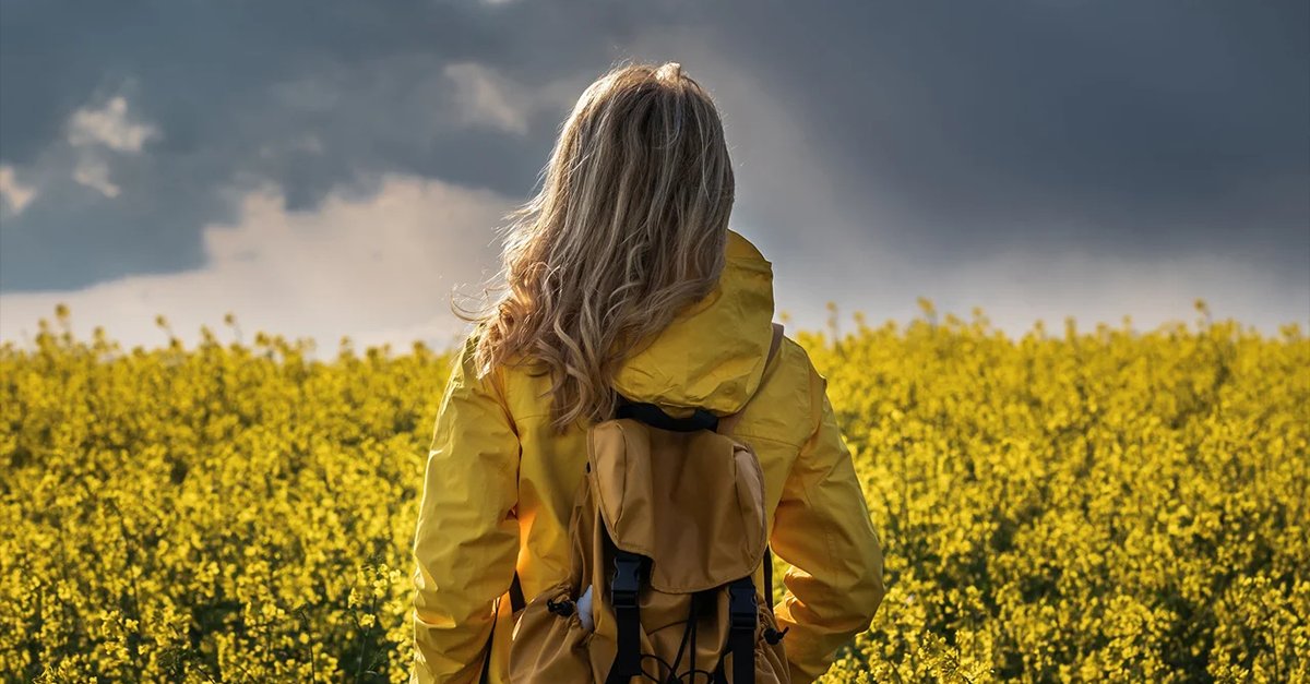 Invesco Canada tweet media