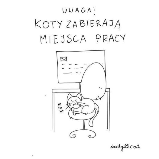 Małgorzata Kot tweet media