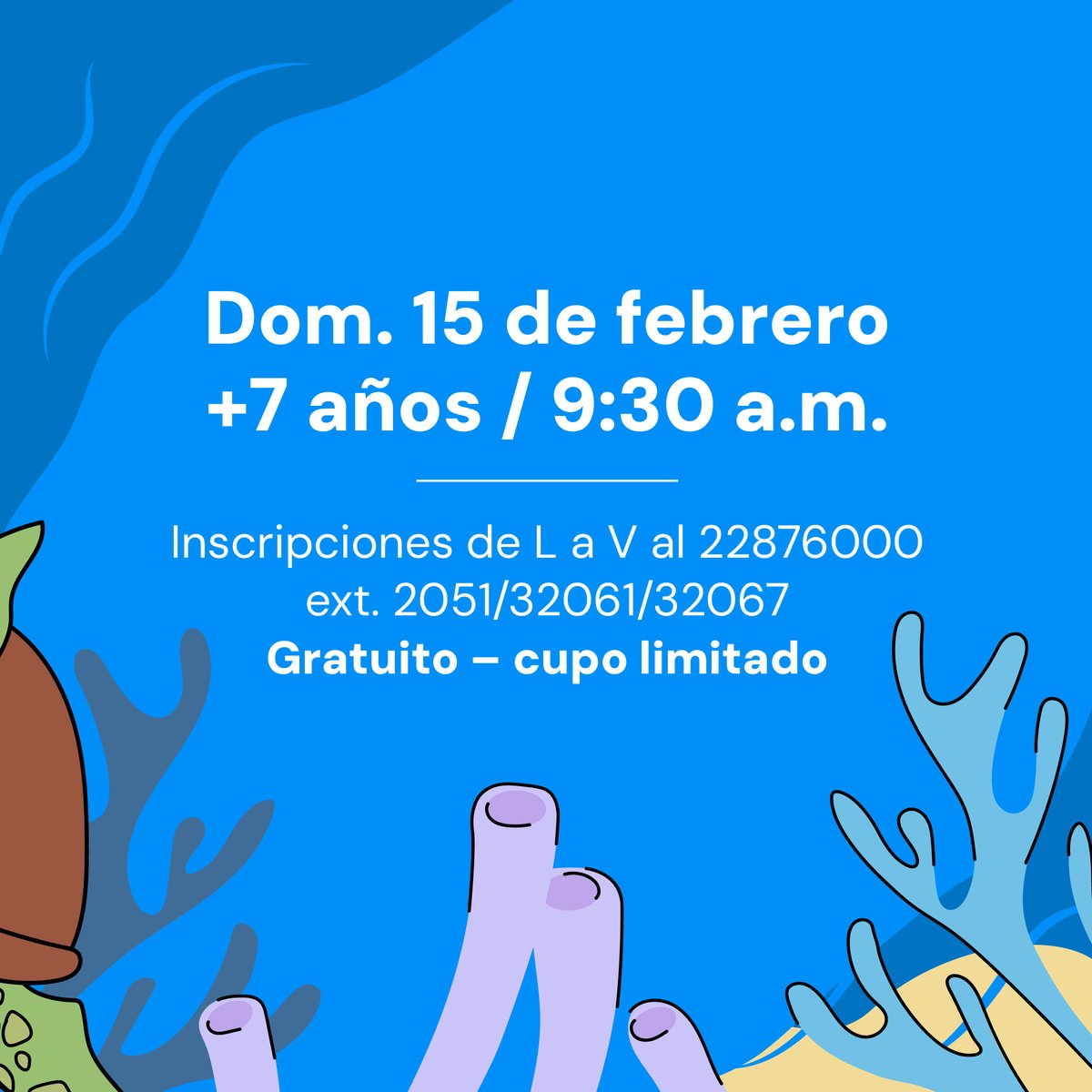 Te invitamos a un taller especial de la Red Nacional de Turismo Científico organizado por la Fundación Paul Watson Costa Rica y la Alianza Mar y Tierra.

📅 Domingo 15 de febrero  🕗 9:30 a.m.
👥 +7 años, acompañados de un adulto.
🎟️ Gratuito | 🪑 Cupo limitado