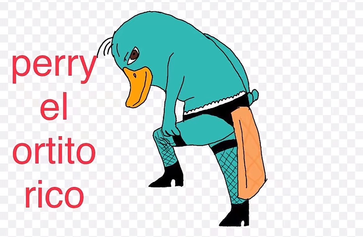 gato glup (@renferencias) on Twitter photo 