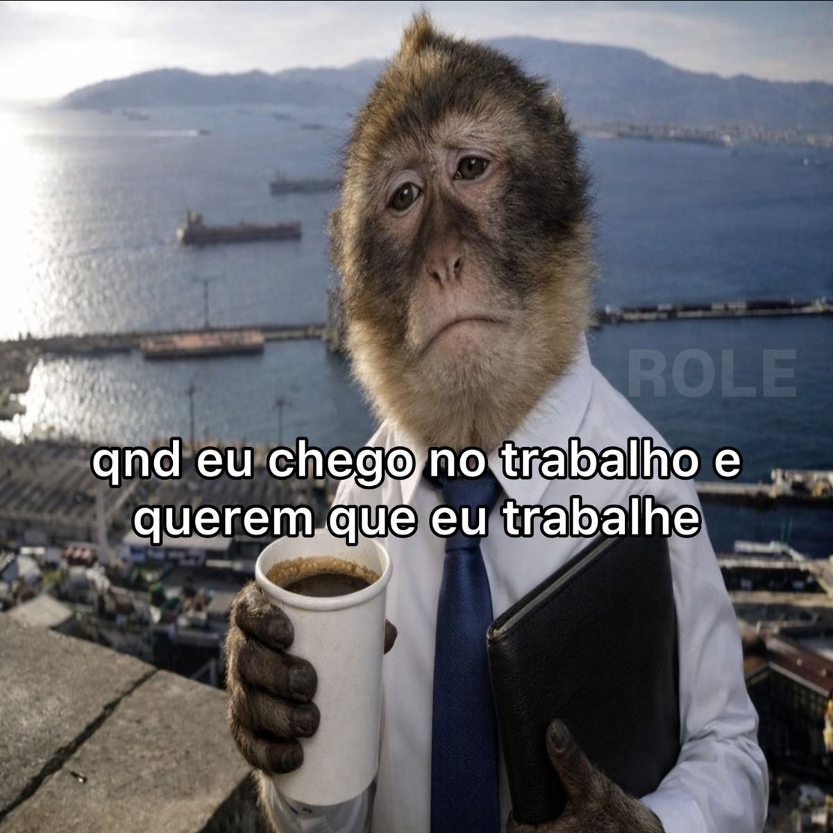 rolealeatorio's tweet image. 