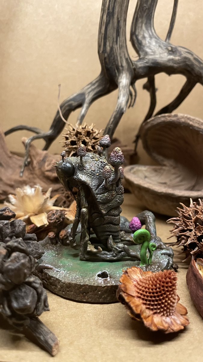 冬虫夏草 20000円 #WF2026W #WF2026冬