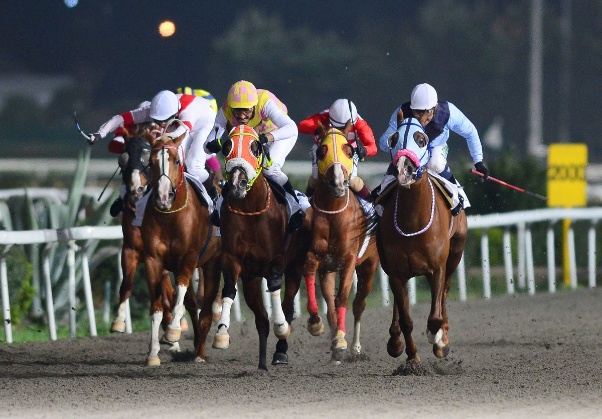 Kadir Çivici tweet media