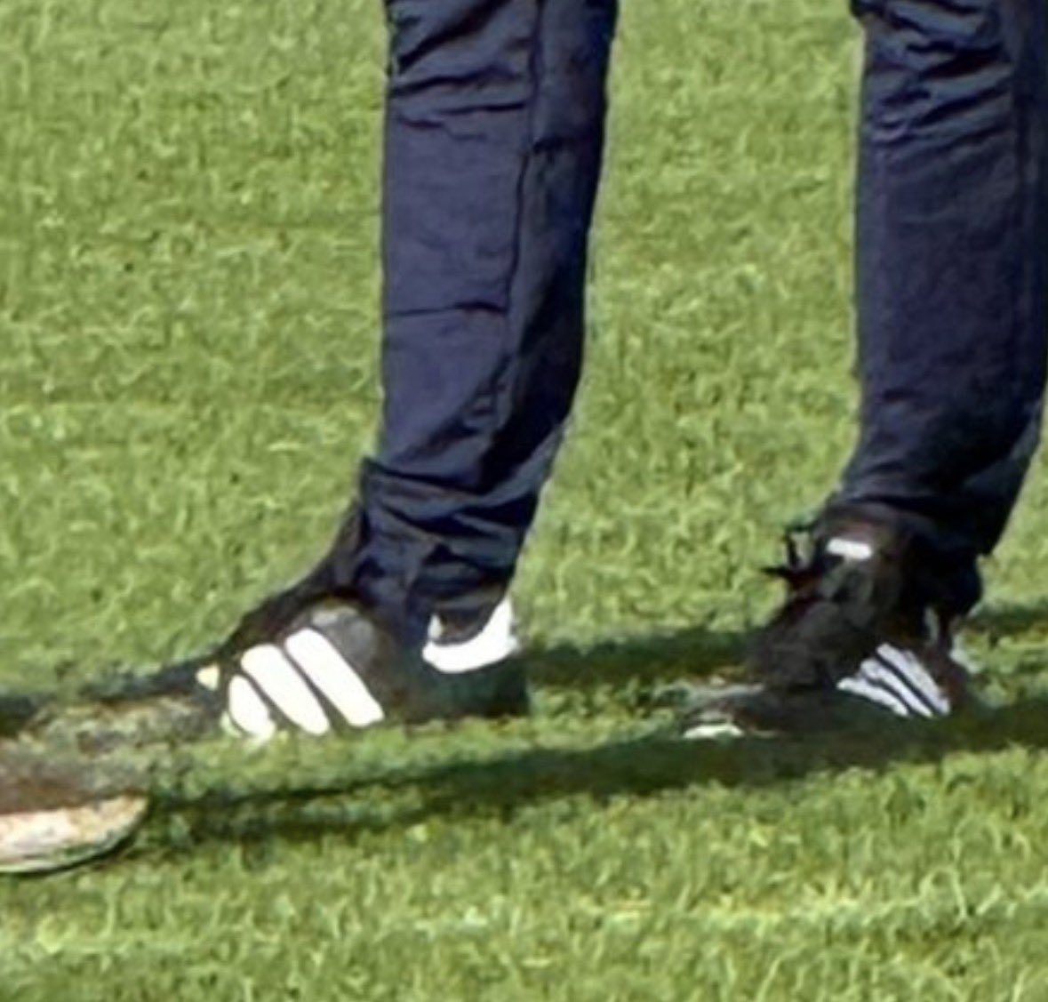 Patrik Glimberg tweet media