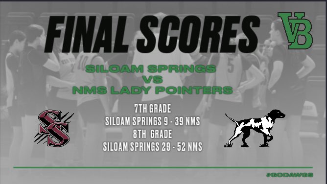 NMSLadyPointerHoops tweet media