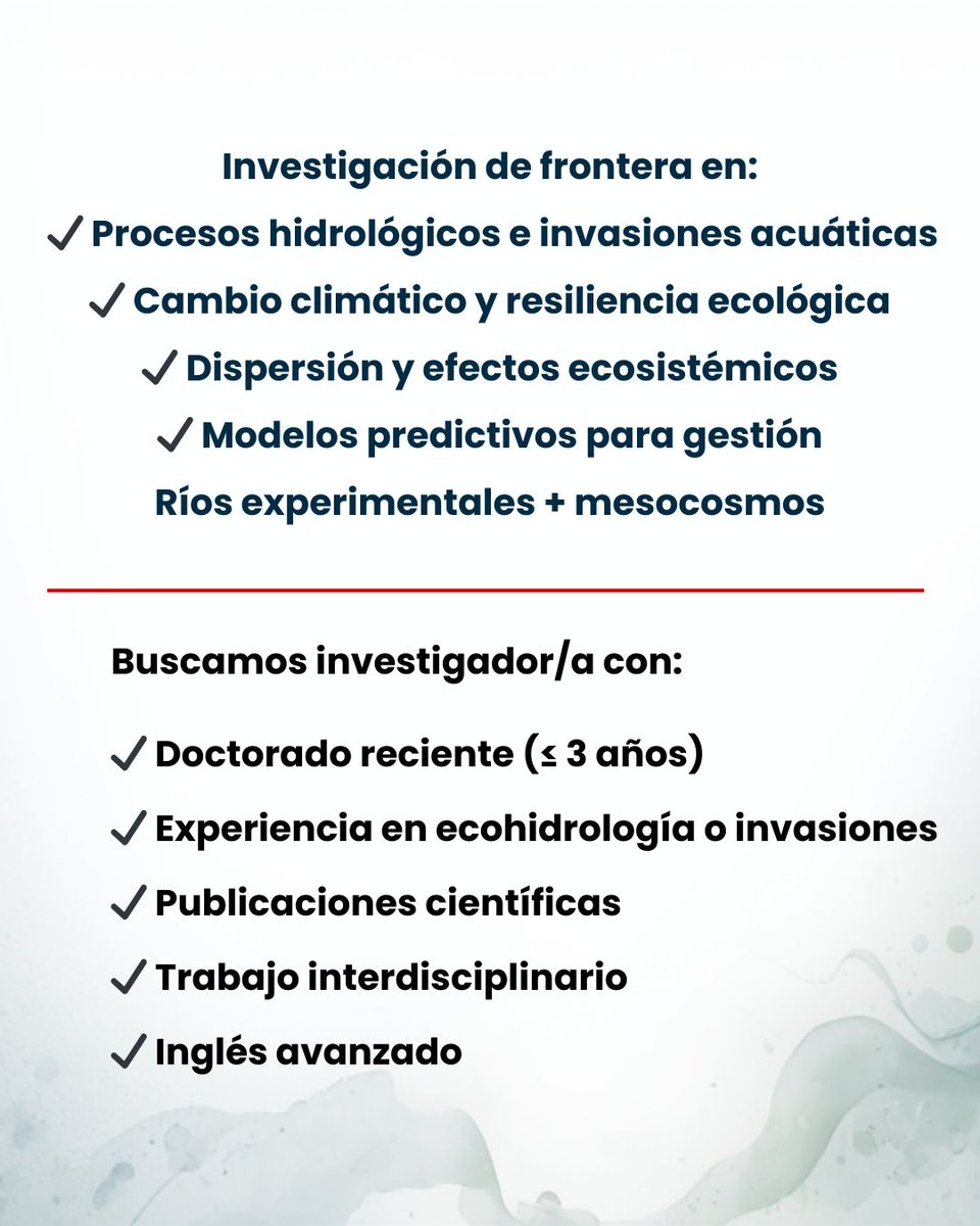 Centro IRIS tweet media