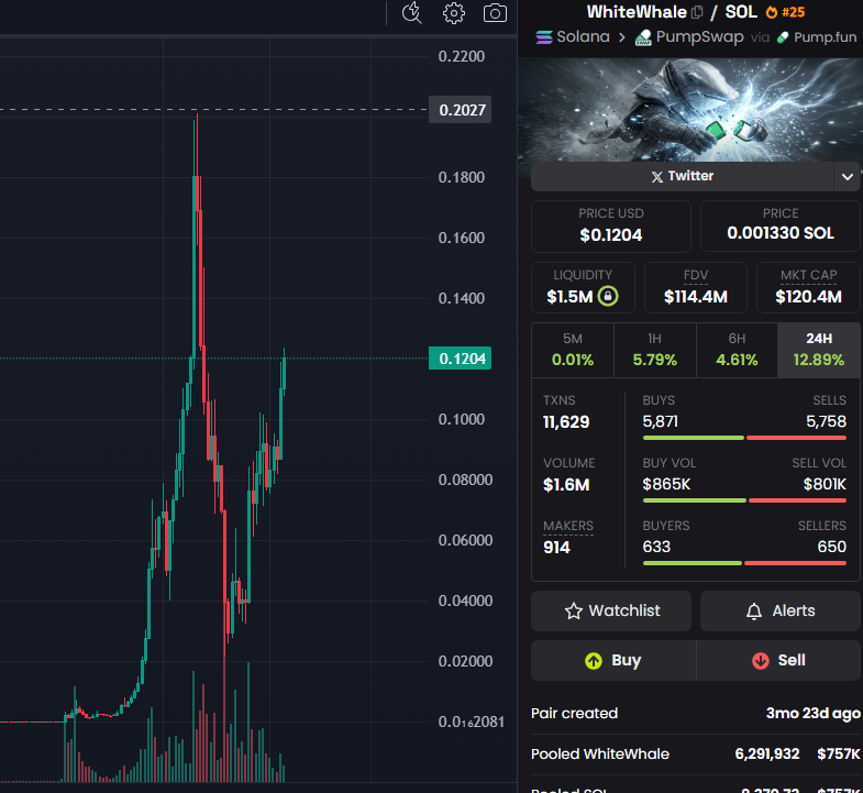 All eyes on the whale 🐋

$WHITEWHALE looks very good here. This is one of the only creator coins with a strong community figure actively bag-working and market-making.

When a coin like this starts to move, IT MOVES. Coins with supply controlled by bag-working devs often see