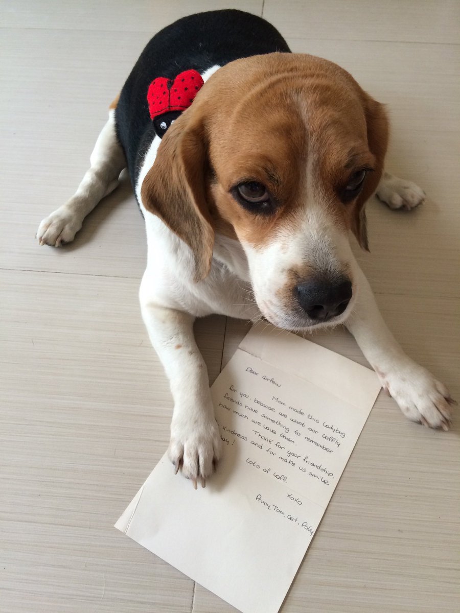 𝘼𝙣𝙜𝙚𝙡 𝘾𝙪𝙧𝙛𝙚𝙬®️ tweet media