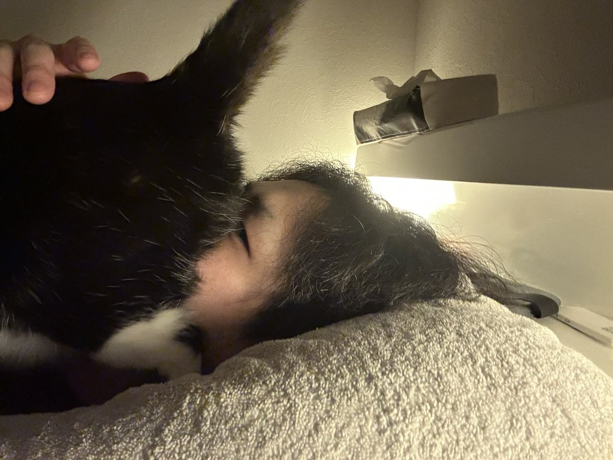 強制猫吸いの儀