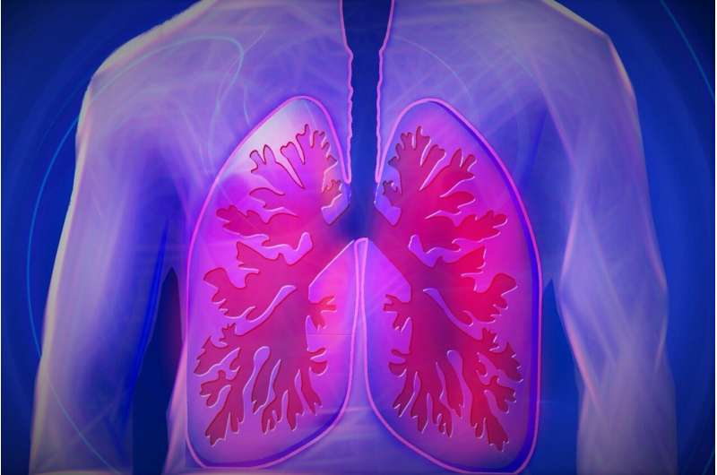 Aller_MD's tweet image. Researchers at the UNC School of Medicine have developed a tool that can identify #airway #mucus abnormalities in patients with #chronic #bronchitis, chronic obstructive pulmonary disease (#COPD), or #asthma before symptoms start.  medicalxpress.com/news/2026-02-m…