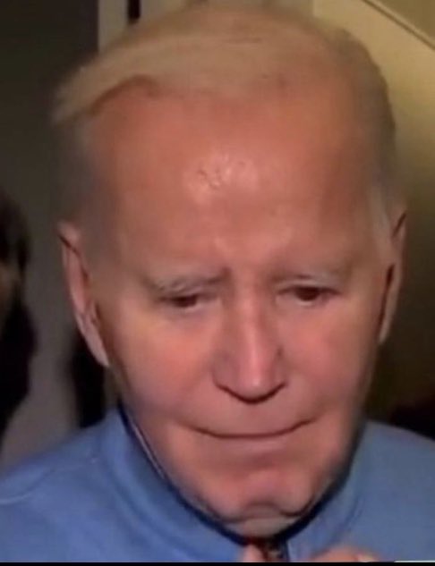 Joey Mannarino 🇺🇸 tweet media