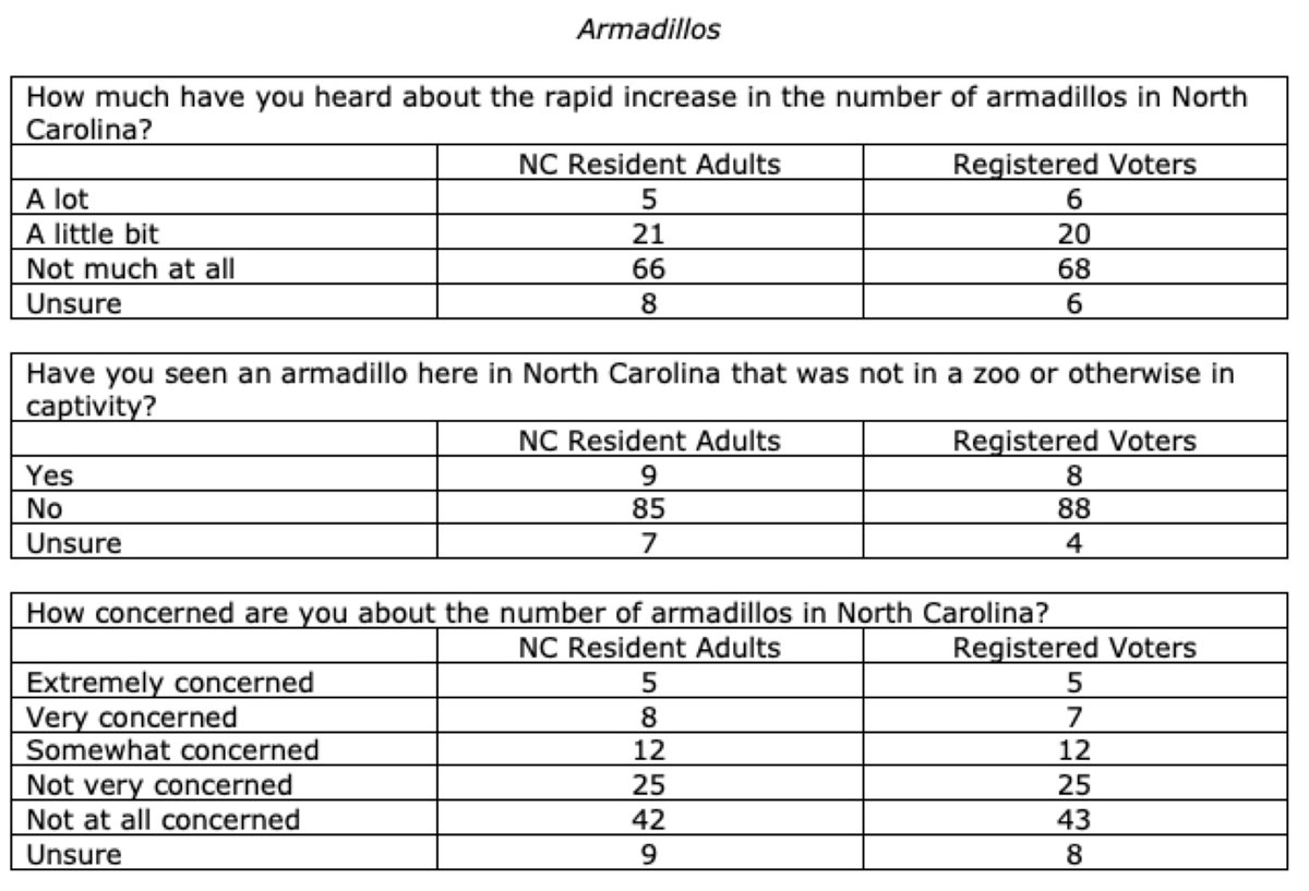 Mary Radcliffe tweet media