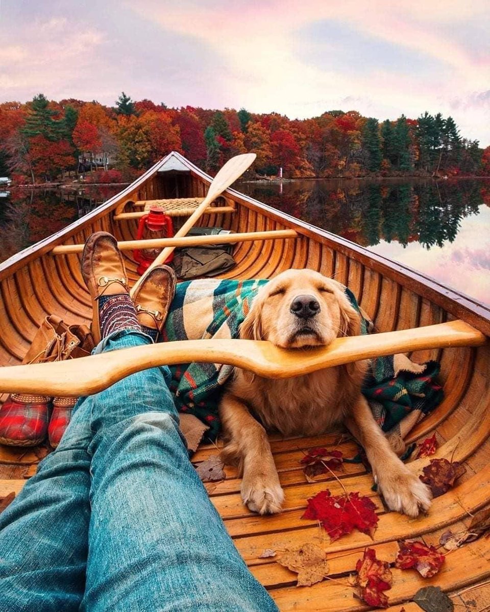 Michael D Kol ☀️ tweet media