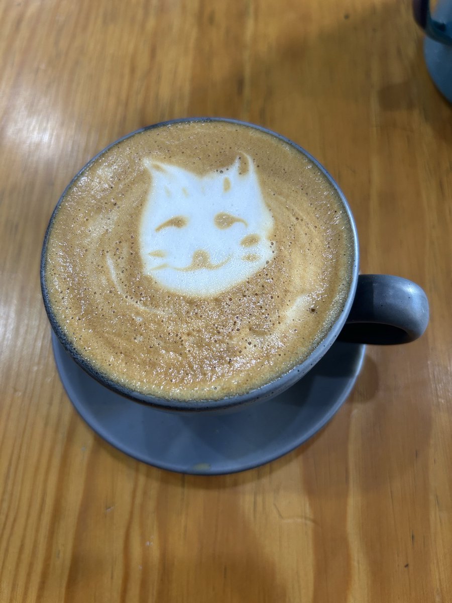 TEPPiNGJAPAN's tweet photo. 名前をつけて、、、欲しい？??

今日の朝カフェ猫🐈

#猫 #カフェ https://t.co/rd3BtQczjd