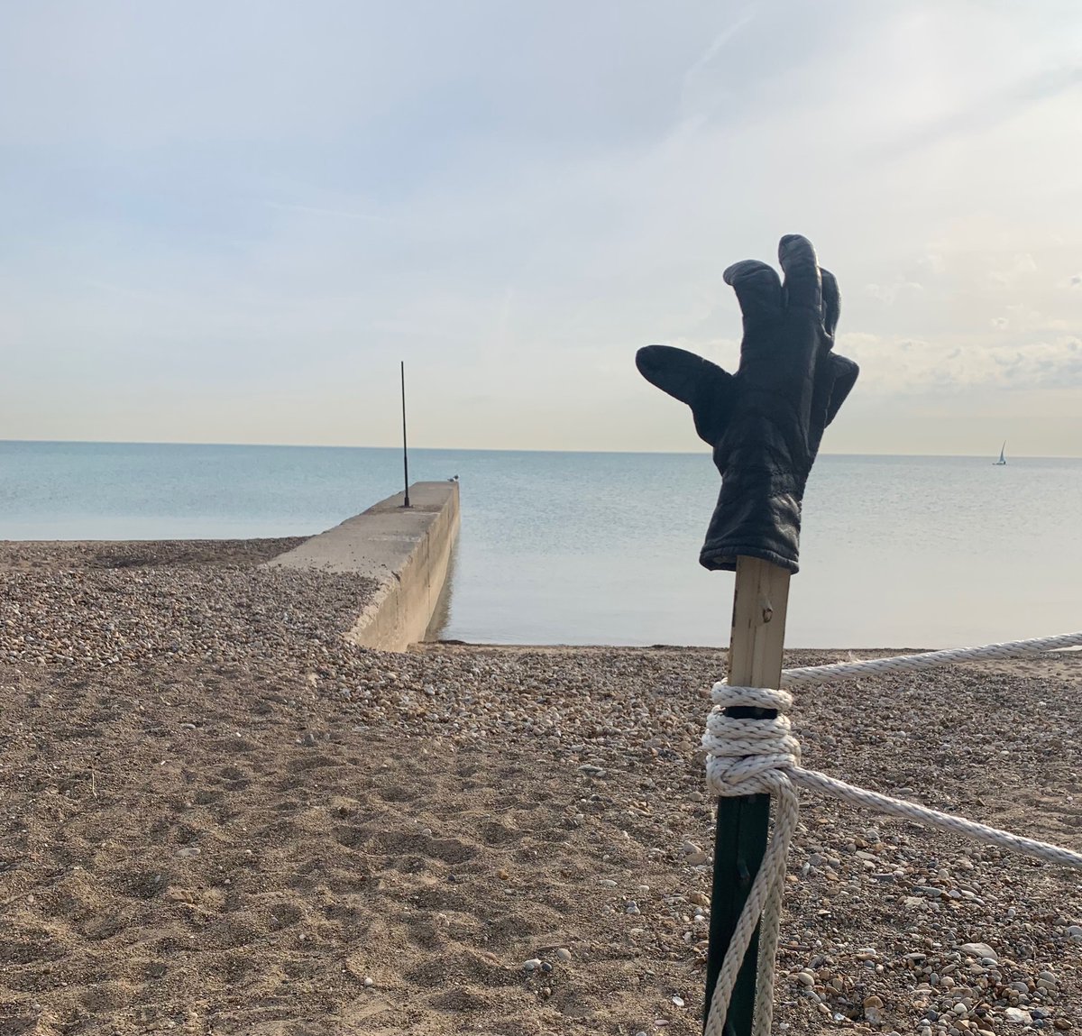 South 85 Journal tweet media