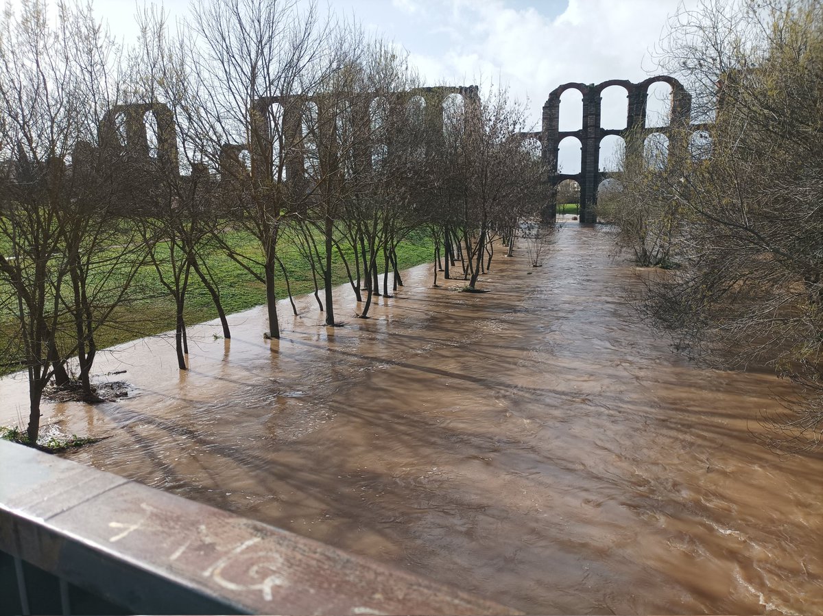 Fran Ramiro tweet media