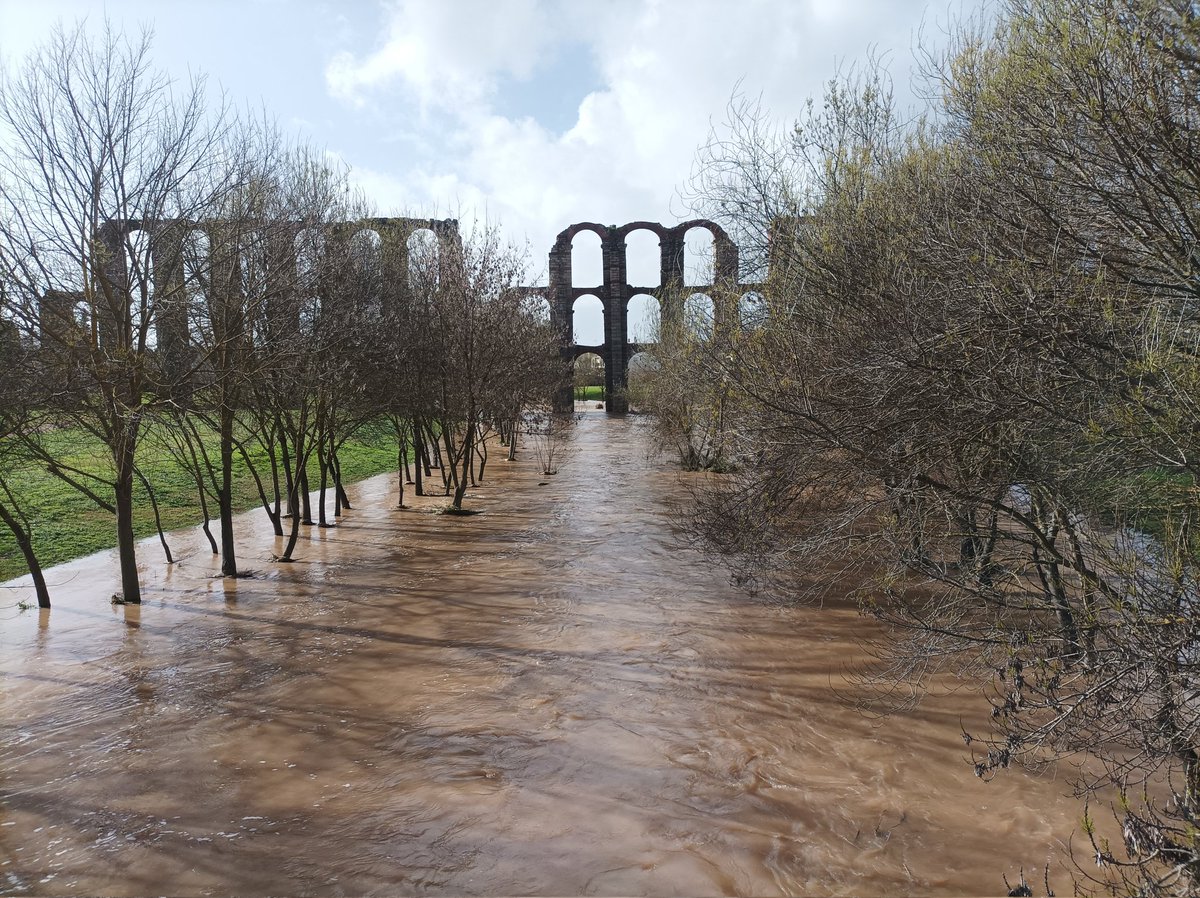 Fran Ramiro tweet media