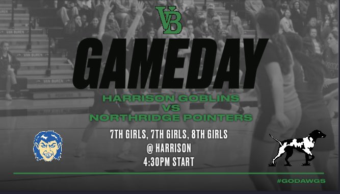 NMSLadyPointerHoops tweet media