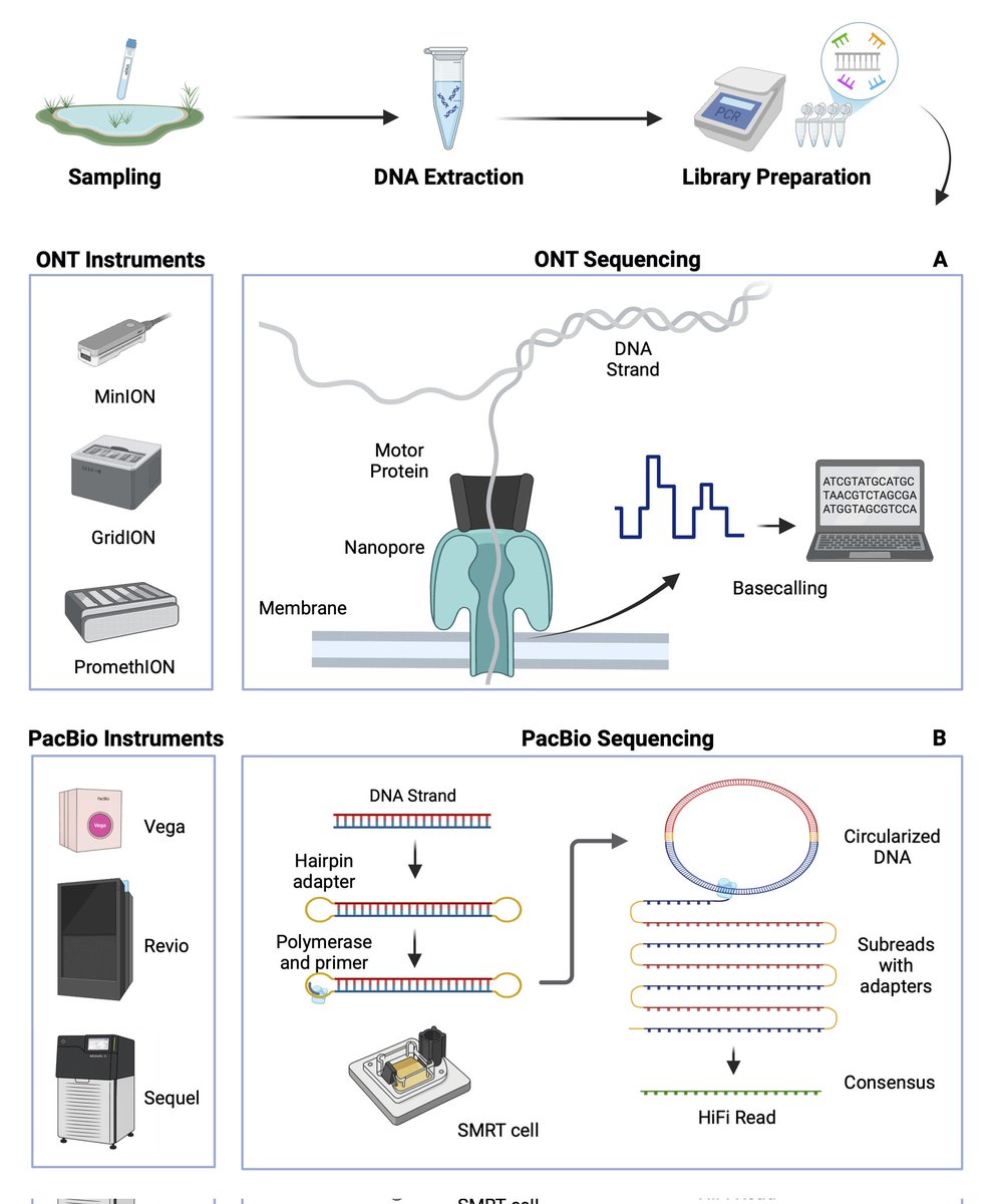 Iliana Bista tweet media