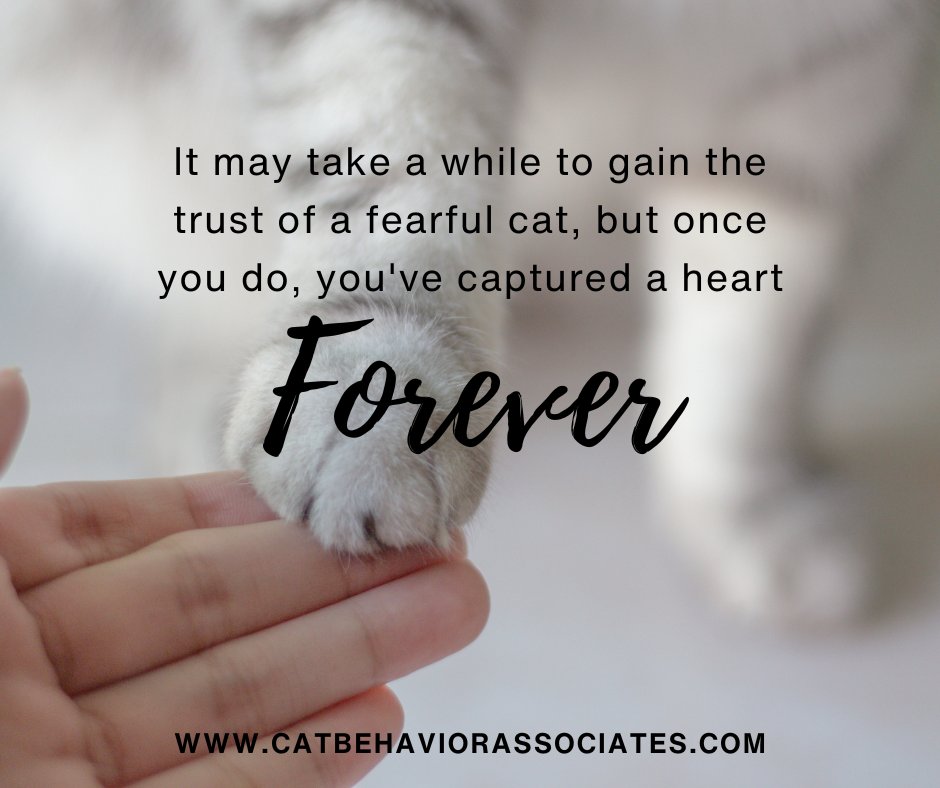 Some bonds are earned slowly, through patience and quiet understanding.