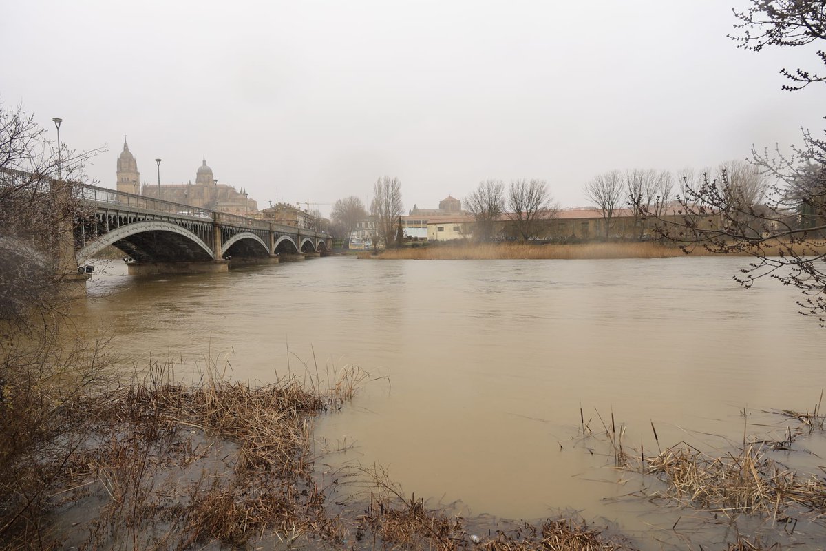 WOW

El río Tormes en Salamanca 

📸<a href="/AlexLorrys/">Álex López</a>